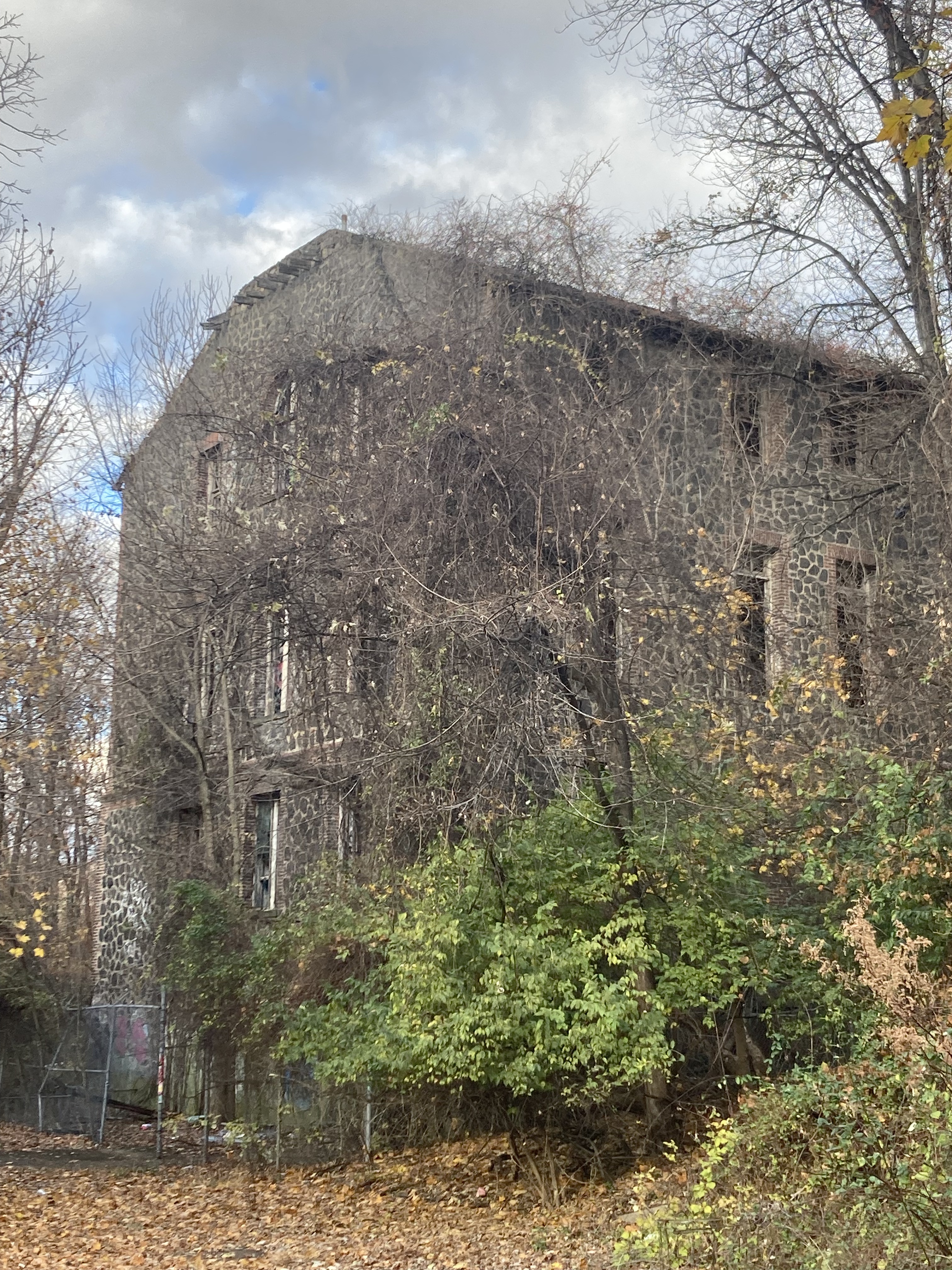 An Introduction to Our Strange Meanderings Part One