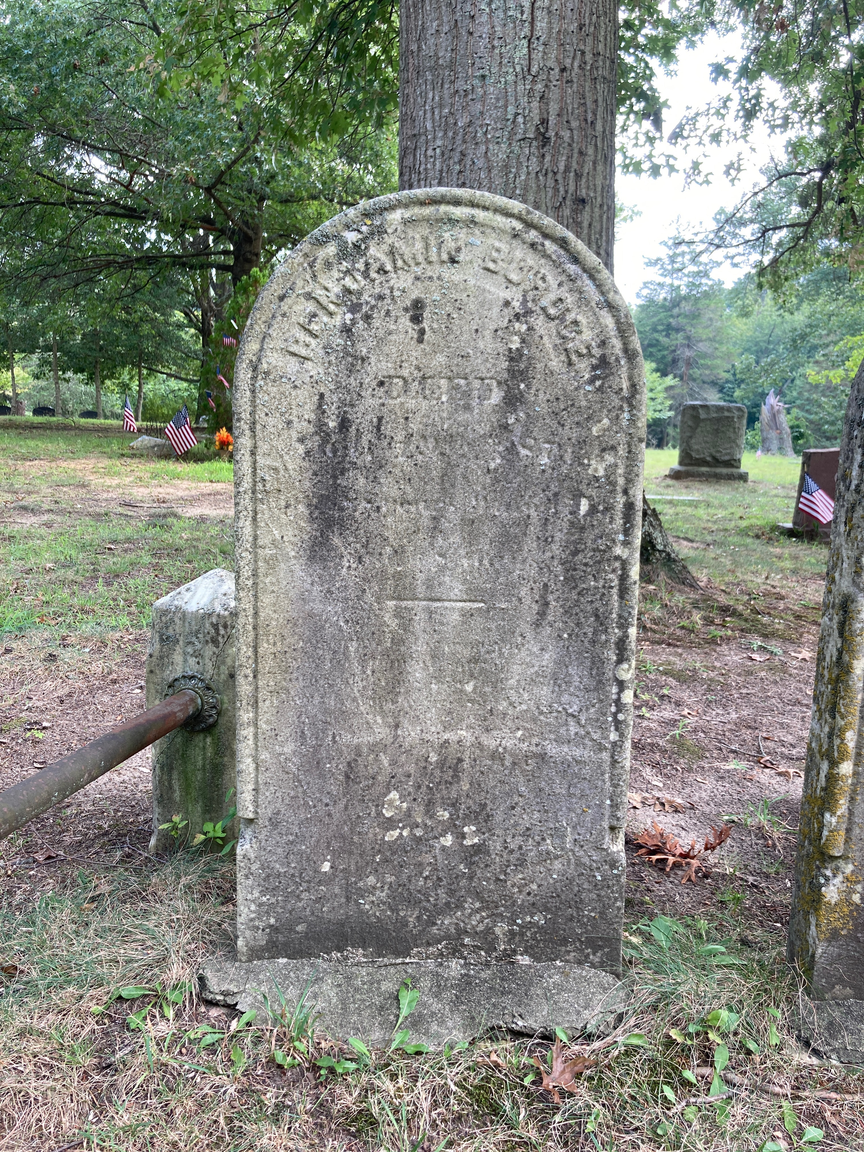 A Meander through the Bayview “Green Light” Cemetery.