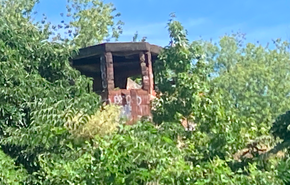 Latest Exploration Vlogs